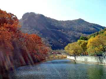 新澳天天开奖资料大全旅游团，适合集体表演的节目